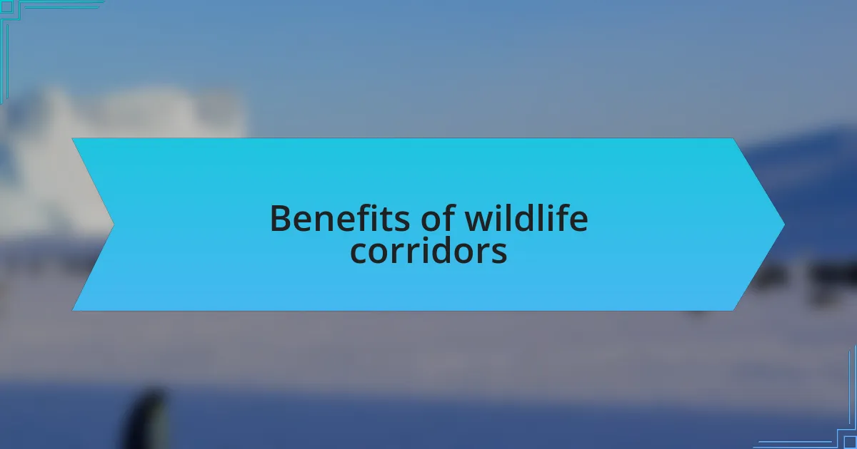 Benefits of wildlife corridors