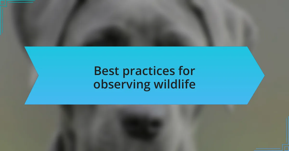 Best practices for observing wildlife