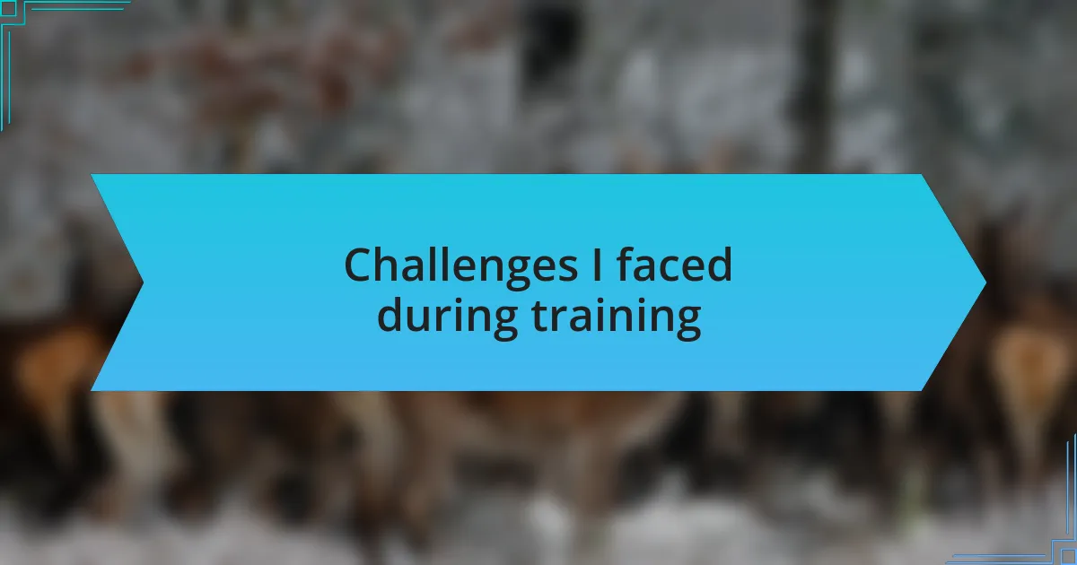 Challenges I faced during training