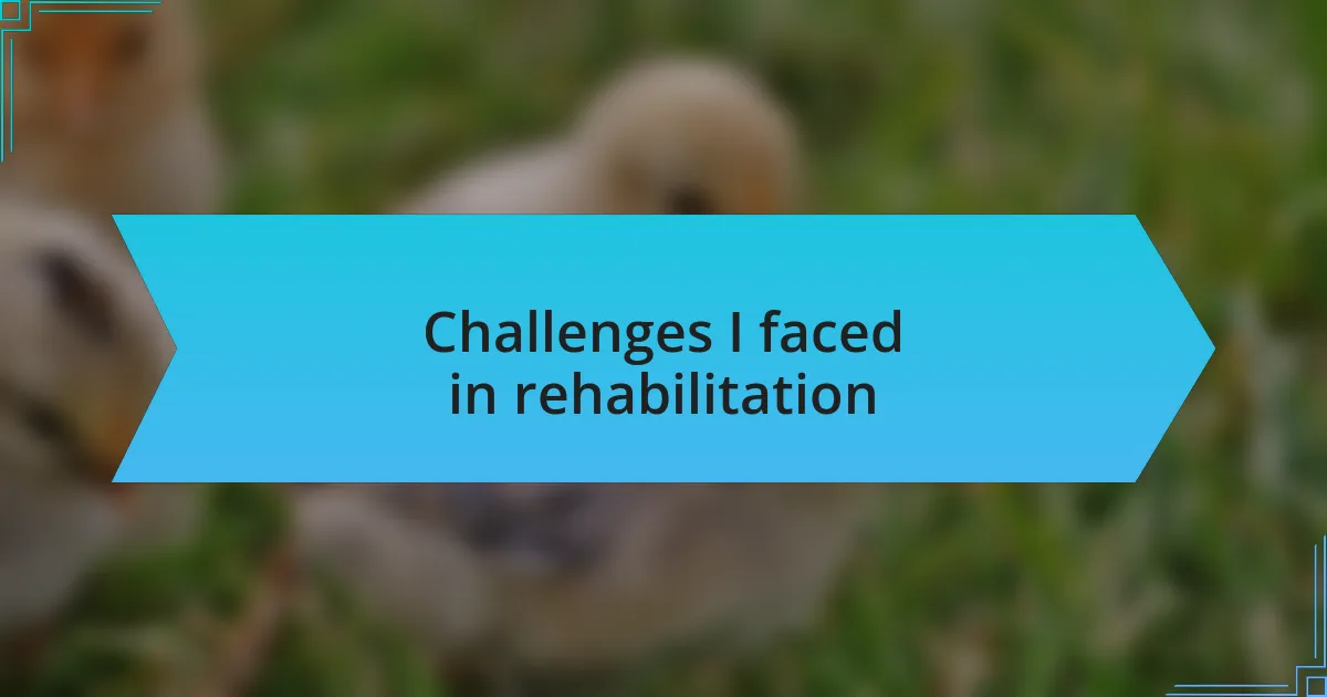 Challenges I faced in rehabilitation
