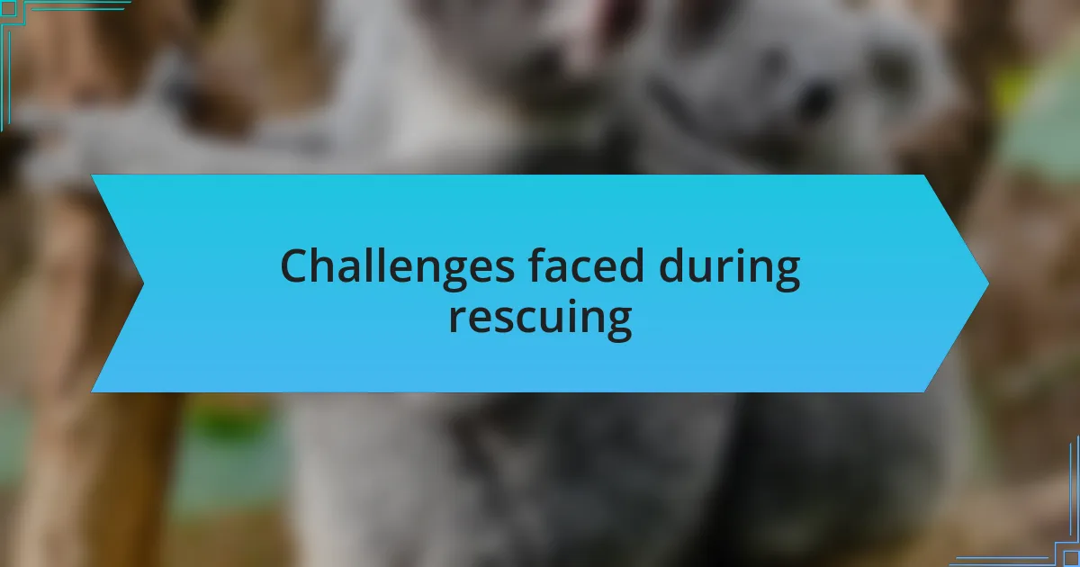 Challenges faced during rescuing