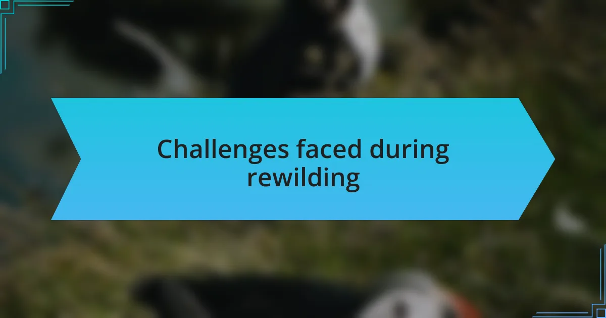 Challenges faced during rewilding