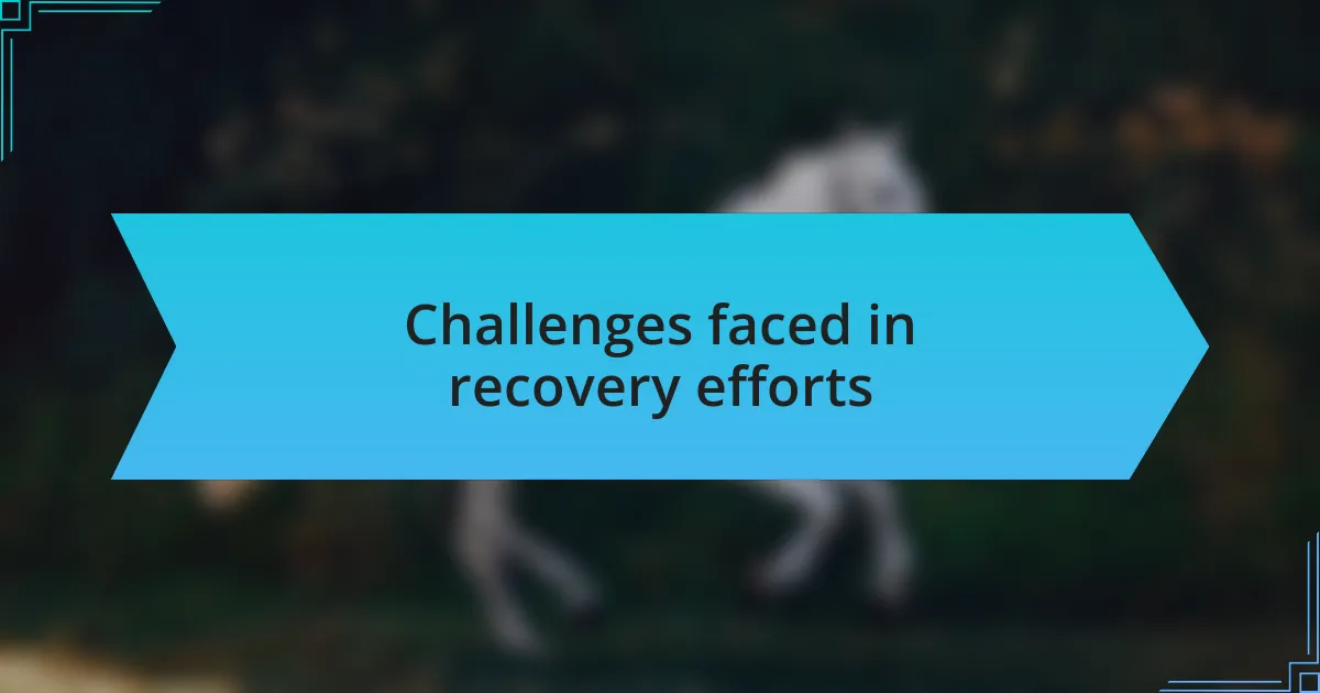 Challenges faced in recovery efforts