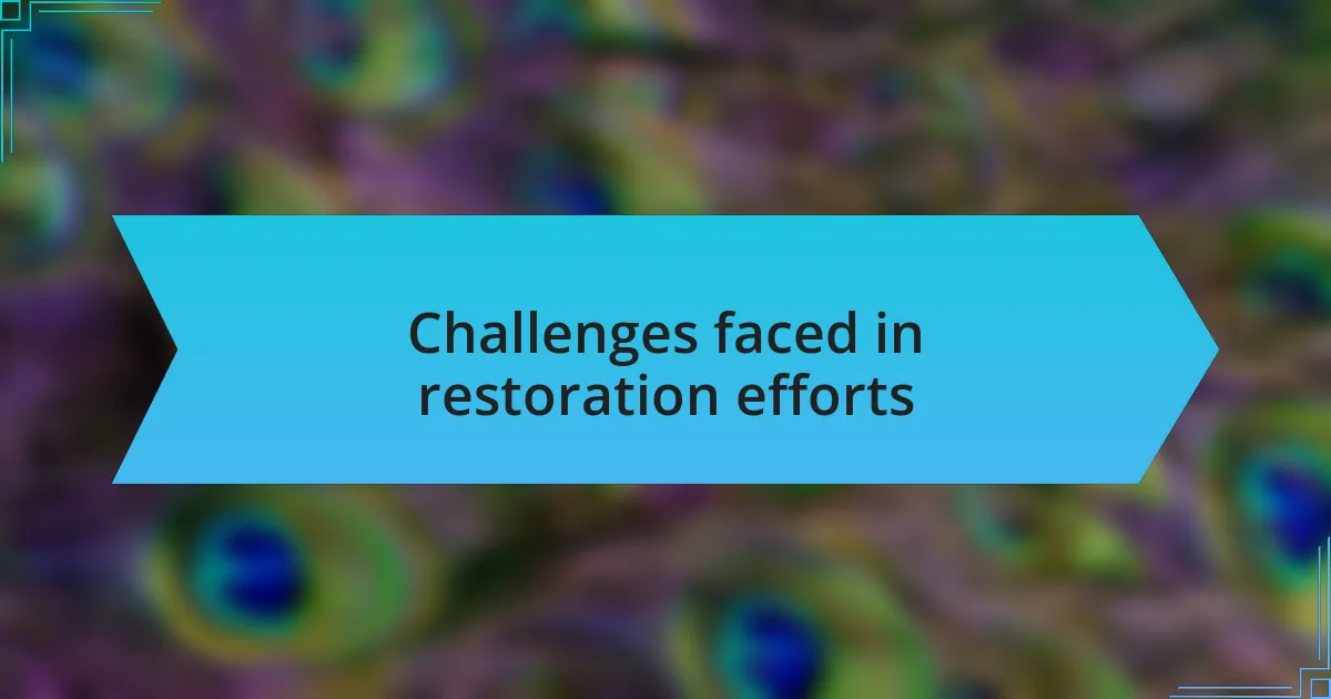 Challenges faced in restoration efforts