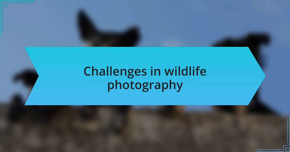 Challenges in wildlife photography