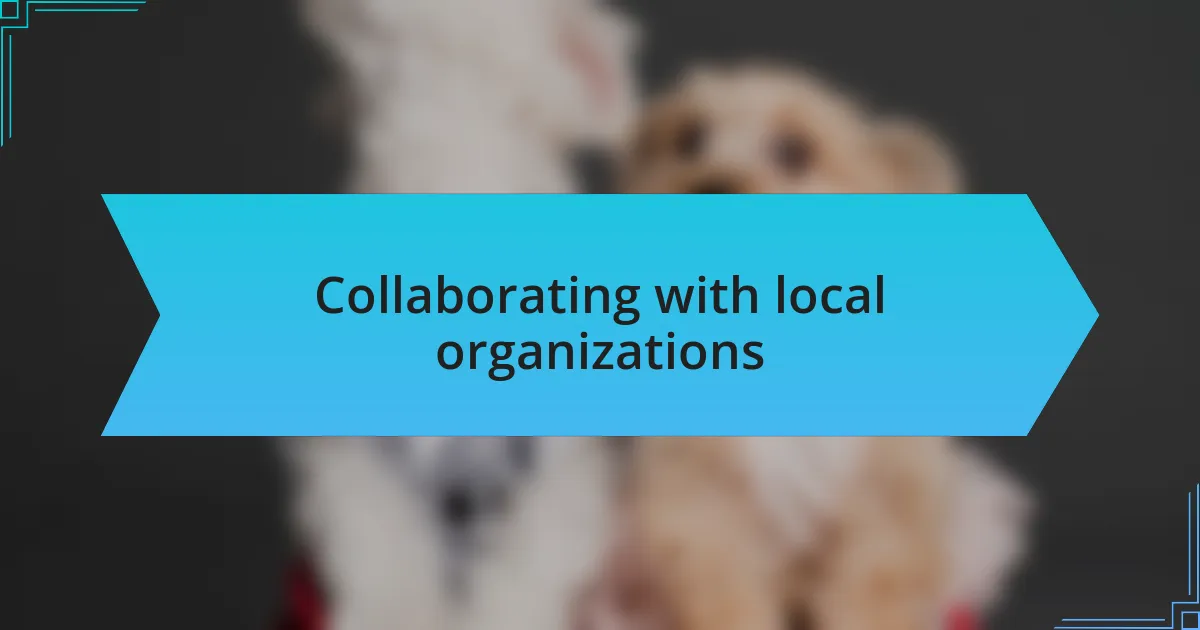 Collaborating with local organizations