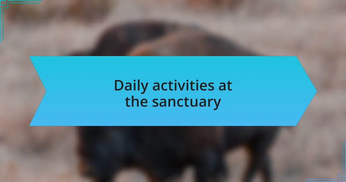 Daily activities at the sanctuary