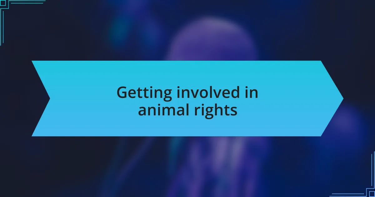 Getting involved in animal rights