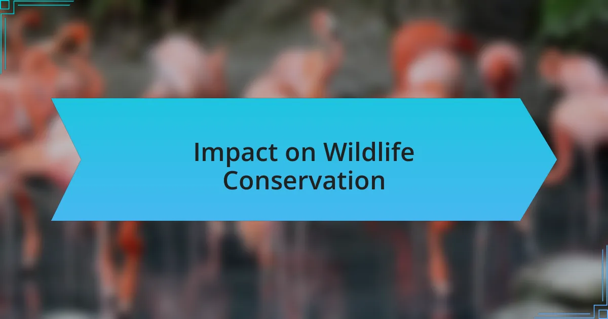 Impact on Wildlife Conservation