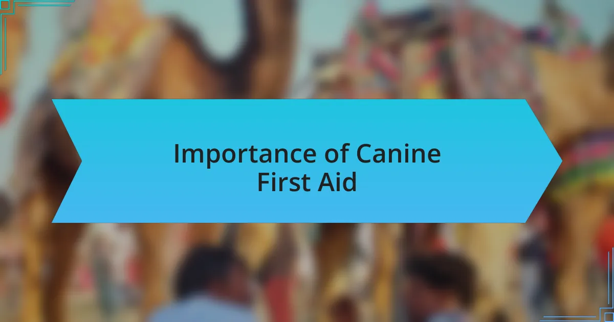Importance of Canine First Aid