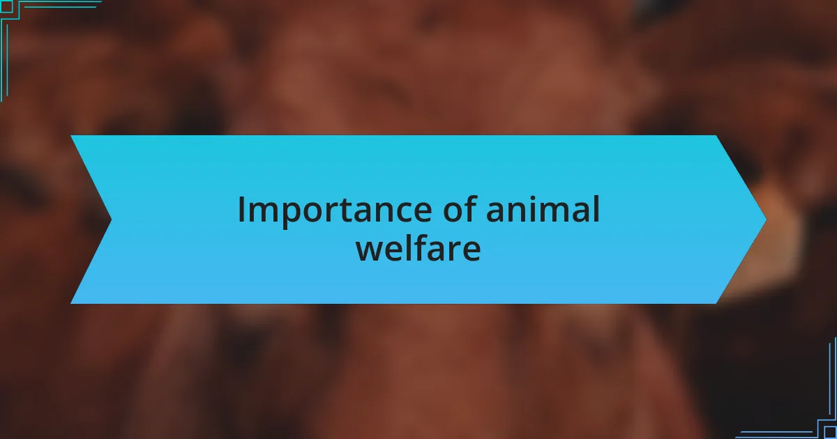 Importance of animal welfare
