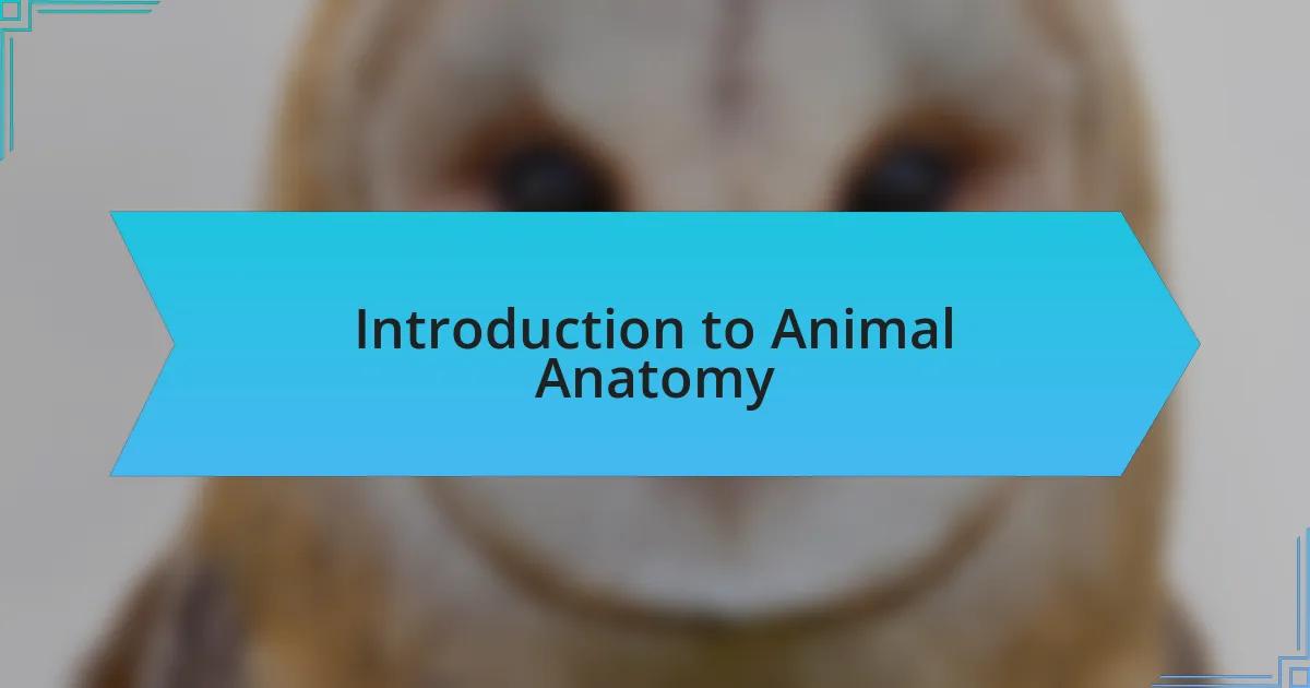 Introduction to Animal Anatomy