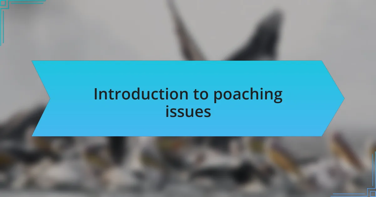 Introduction to poaching issues