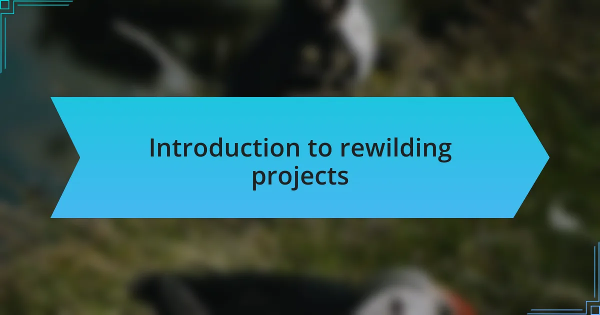 Introduction to rewilding projects