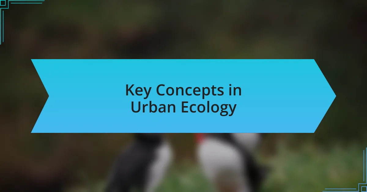 Key Concepts in Urban Ecology