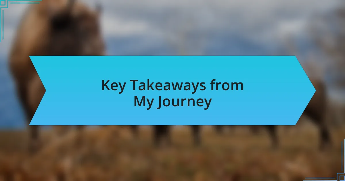 Key Takeaways from My Journey
