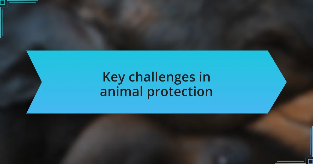 Key challenges in animal protection