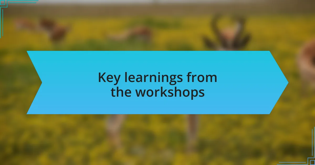 Key learnings from the workshops