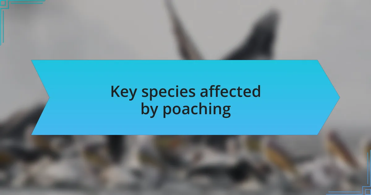 Key species affected by poaching