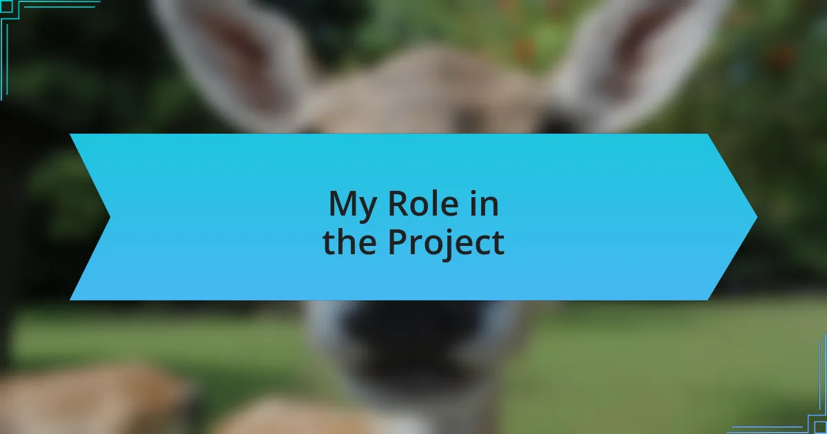 My Role in the Project