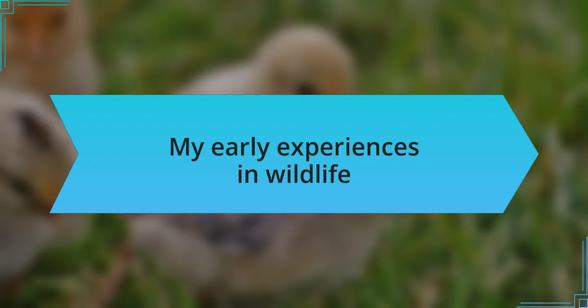 My early experiences in wildlife