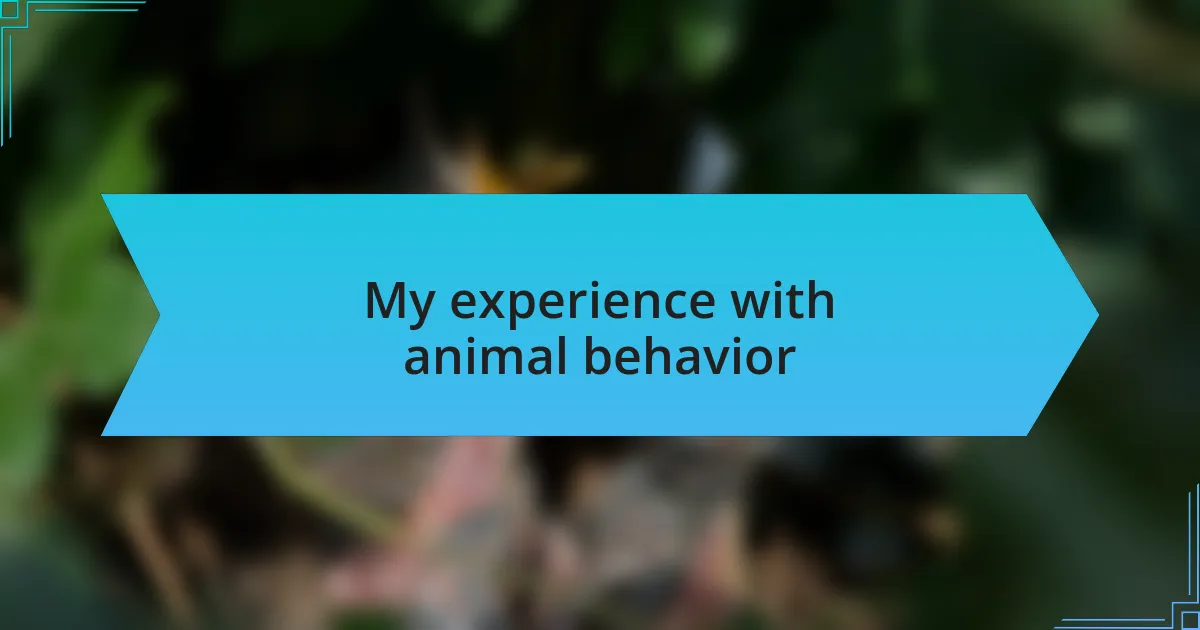 My experience with animal behavior