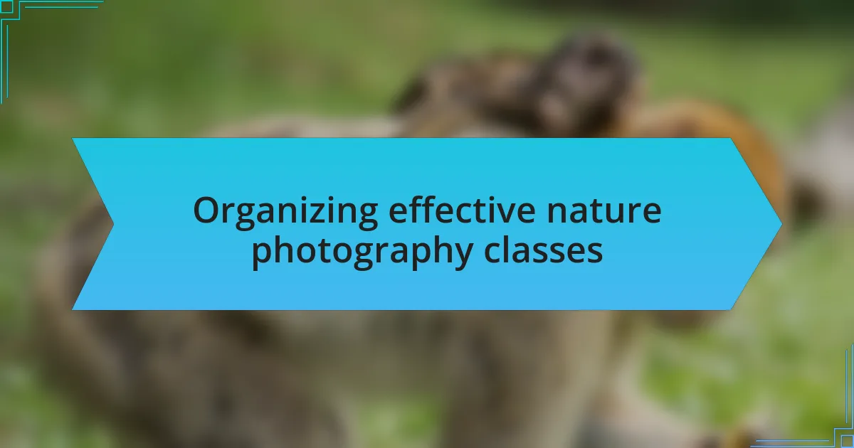 Organizing effective nature photography classes