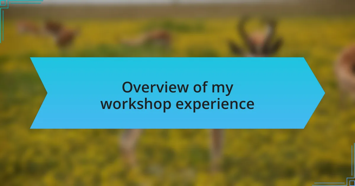 Overview of my workshop experience