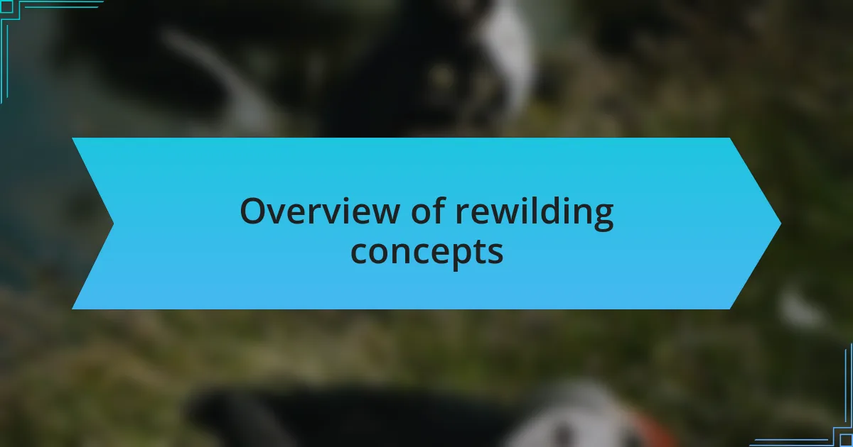 Overview of rewilding concepts