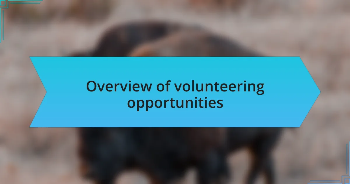 Overview of volunteering opportunities