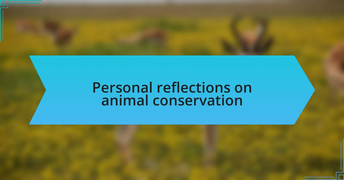 Personal reflections on animal conservation