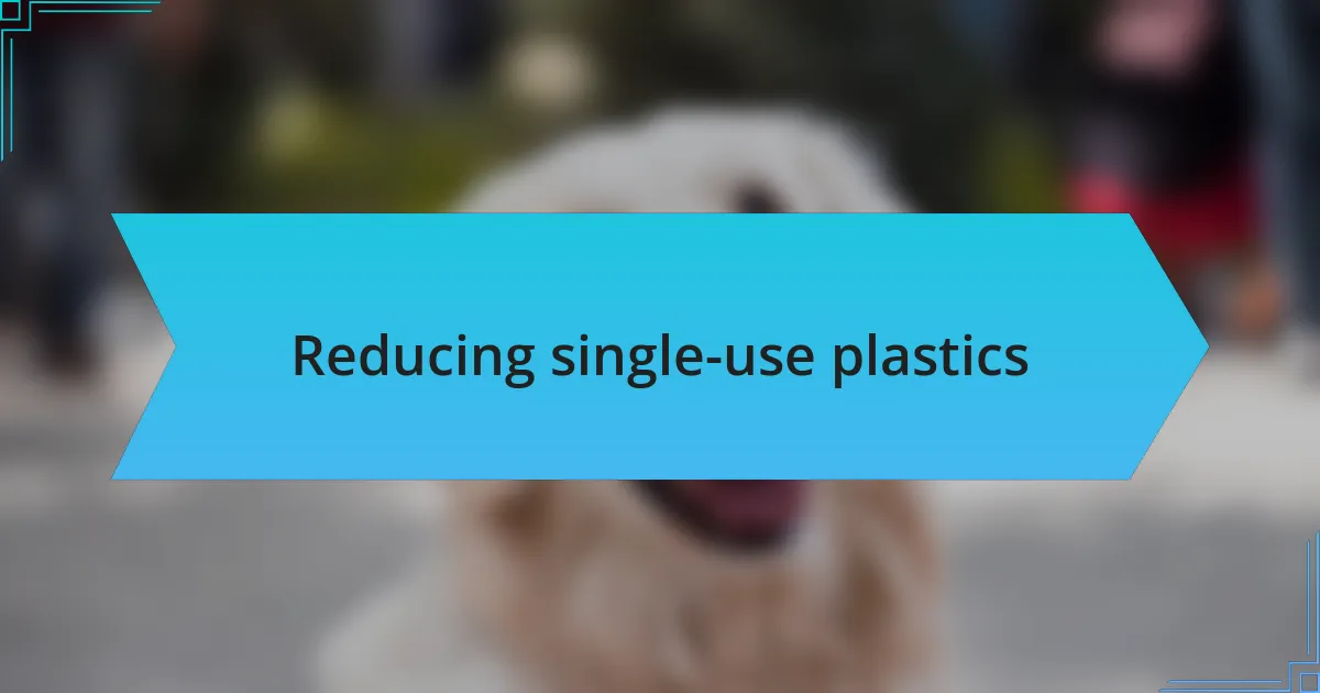Reducing single-use plastics