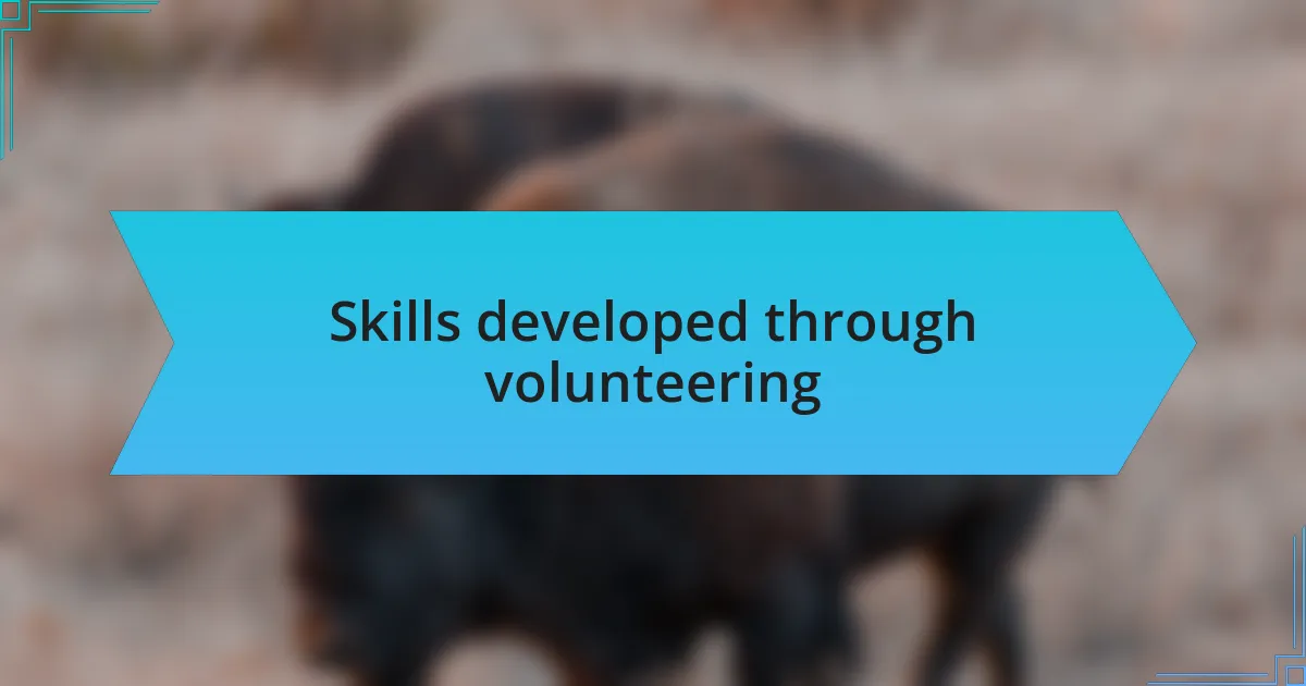 Skills developed through volunteering