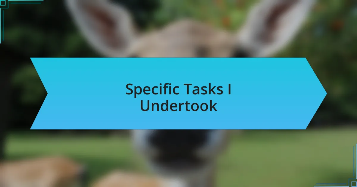 Specific Tasks I Undertook