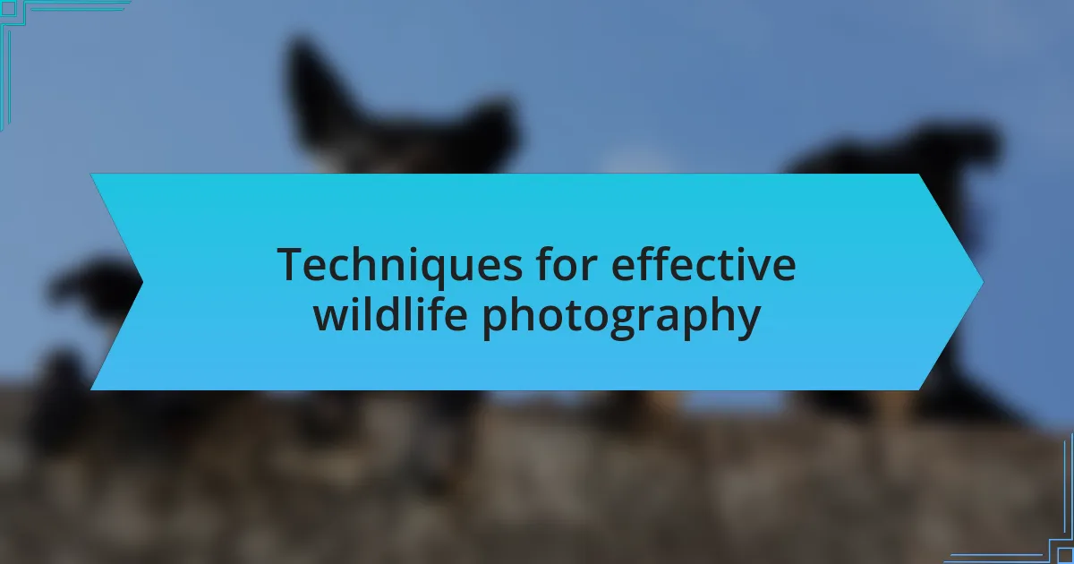 Techniques for effective wildlife photography