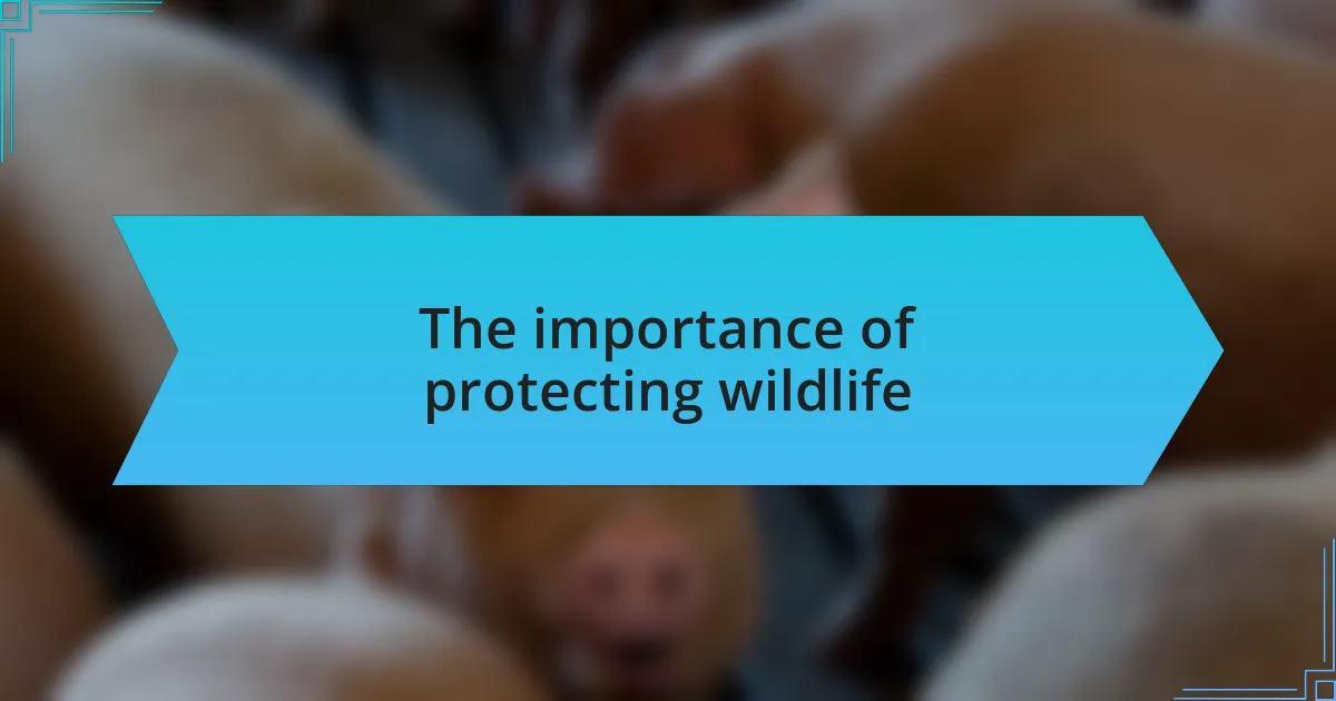 The importance of protecting wildlife