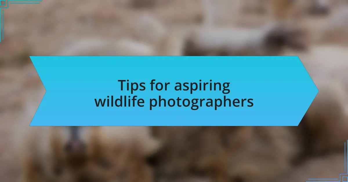 Tips for aspiring wildlife photographers