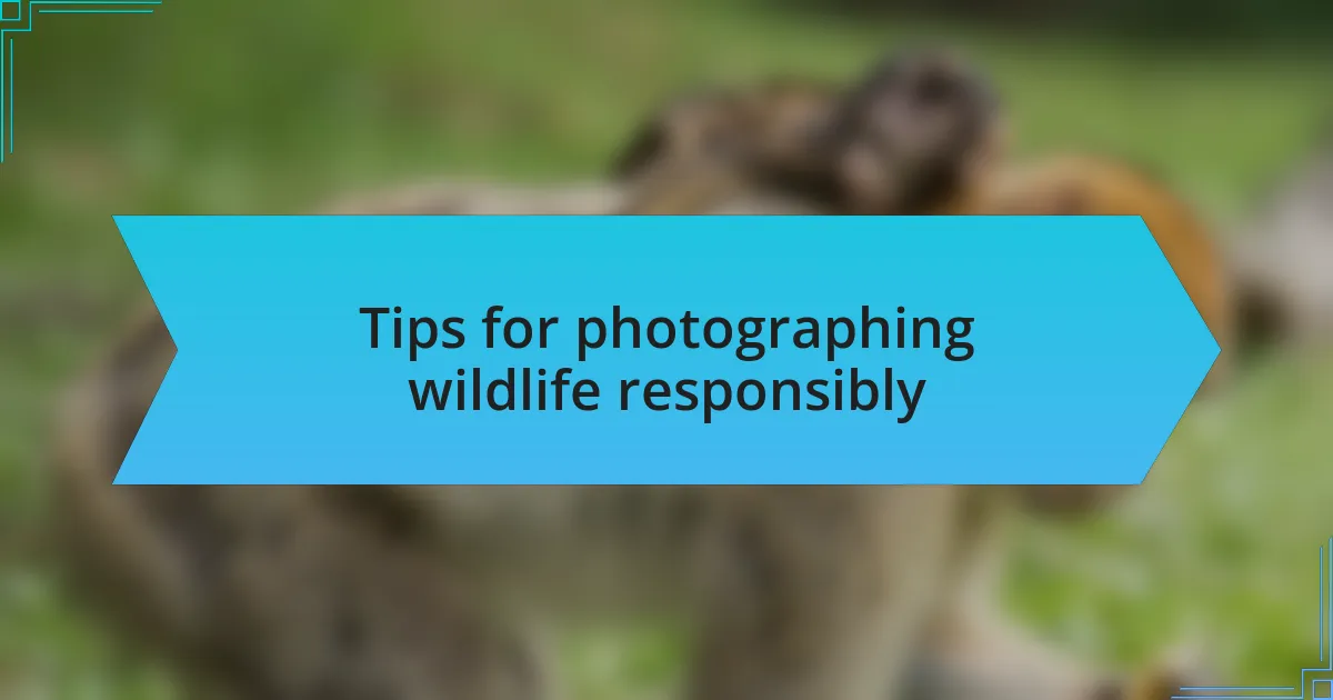 Tips for photographing wildlife responsibly