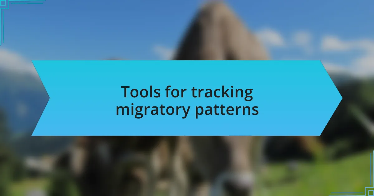 Tools for tracking migratory patterns