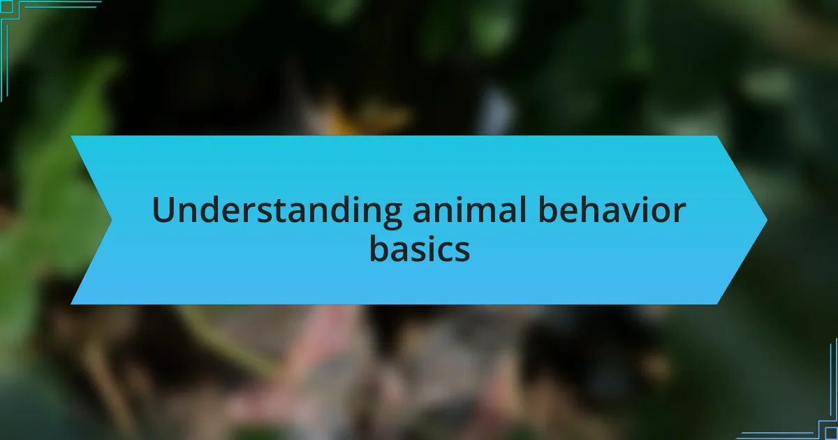 Understanding animal behavior basics