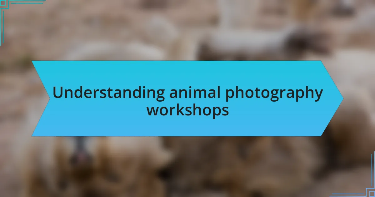Understanding animal photography workshops