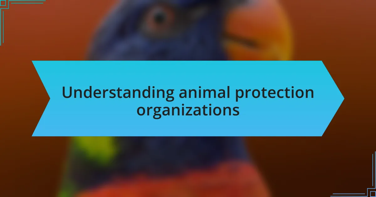 Understanding animal protection organizations