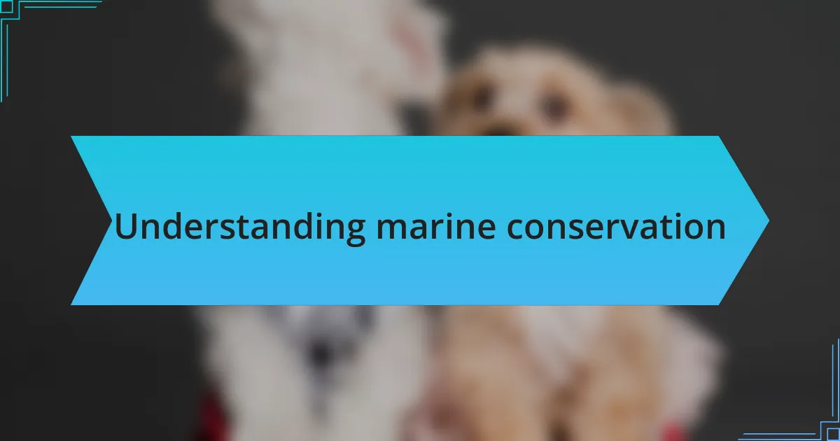 Understanding marine conservation