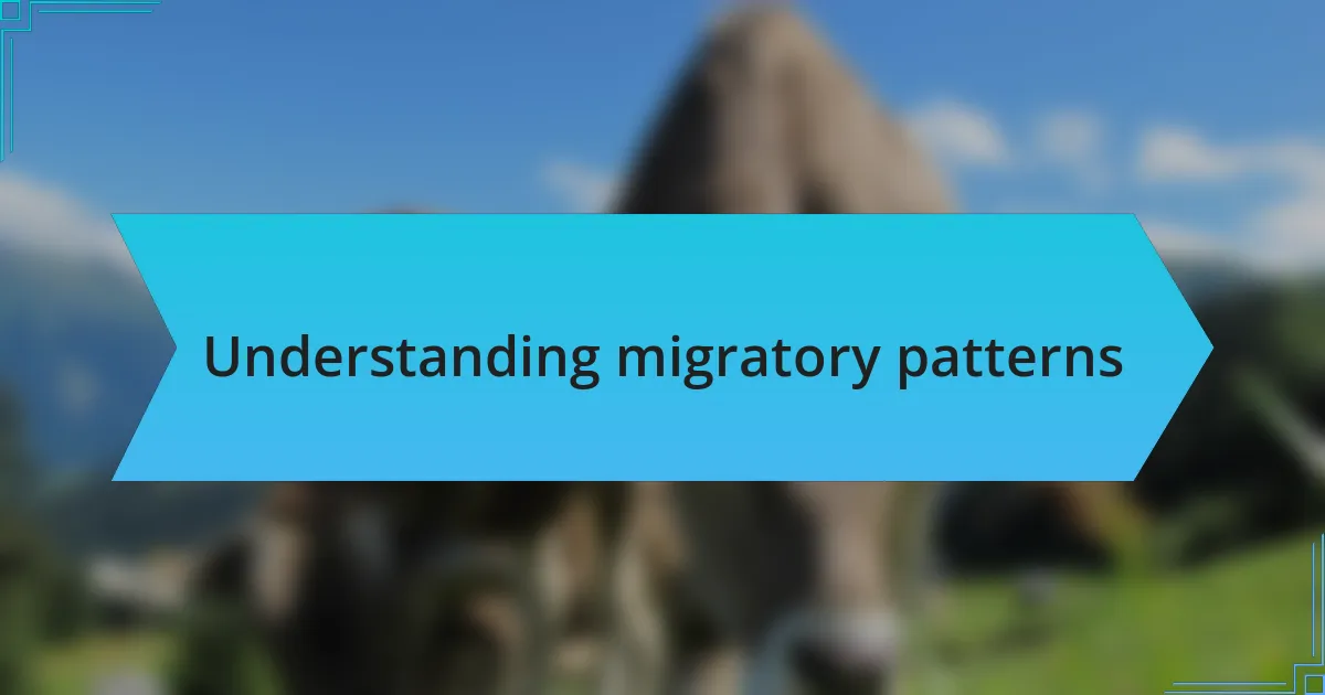 Understanding migratory patterns