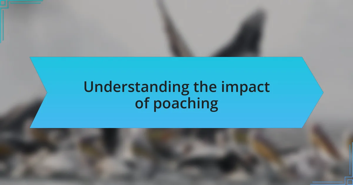 Understanding the impact of poaching