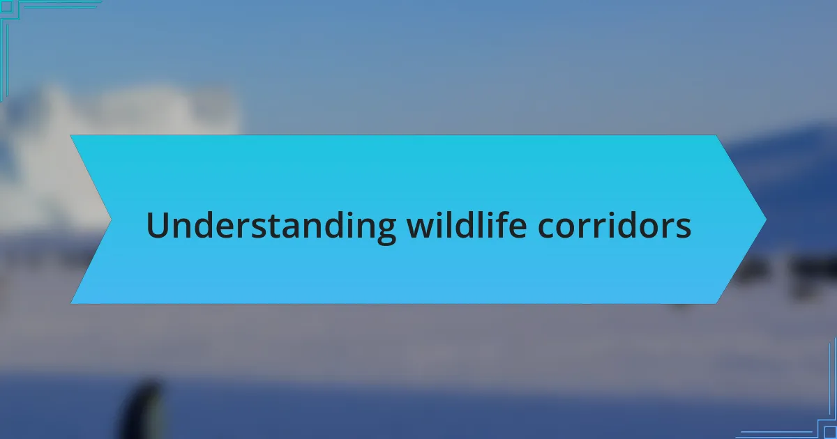 Understanding wildlife corridors