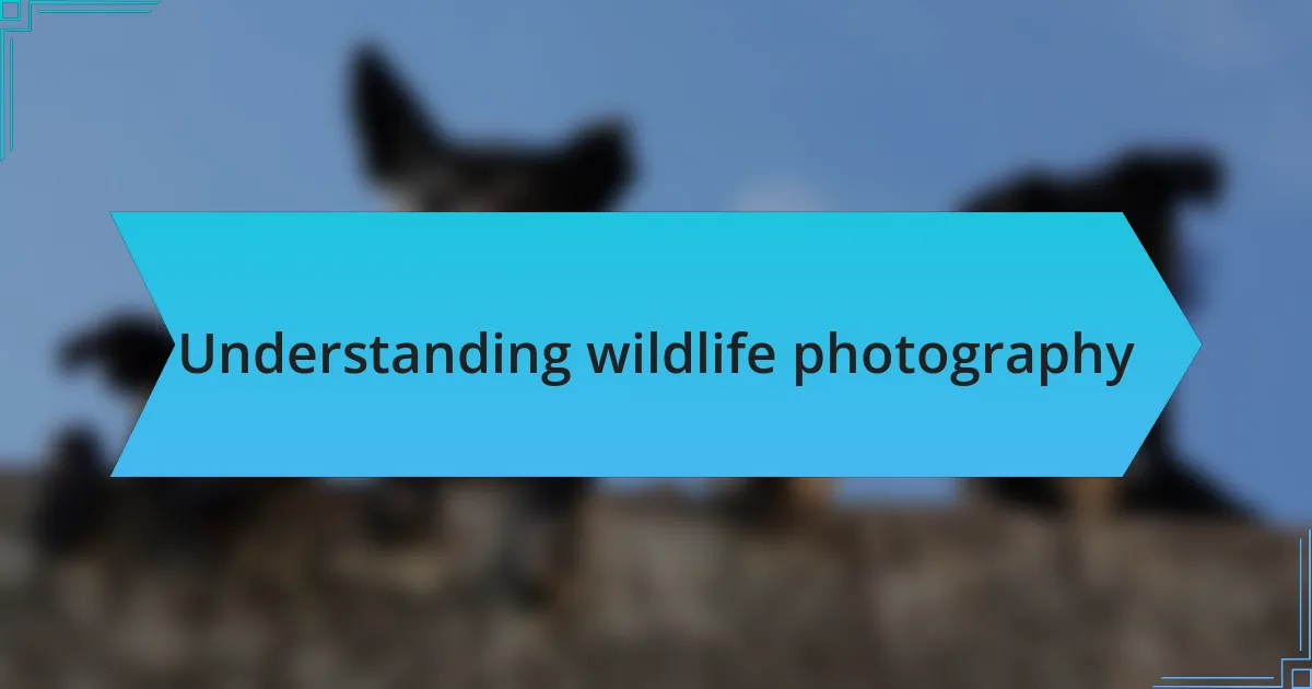 Understanding wildlife photography