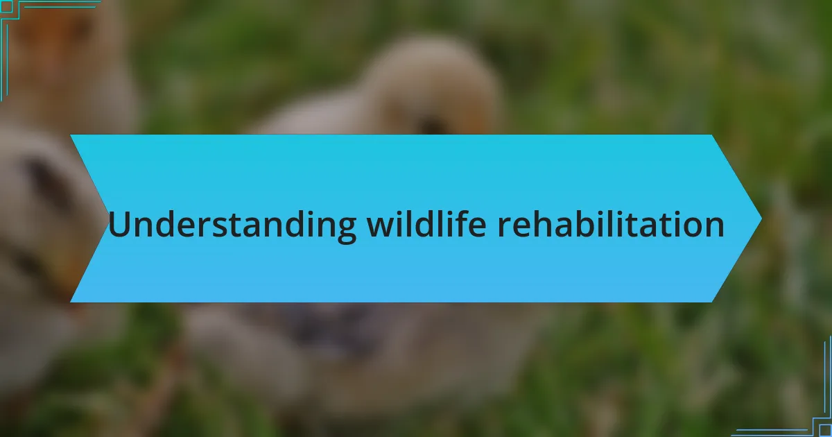 Understanding wildlife rehabilitation