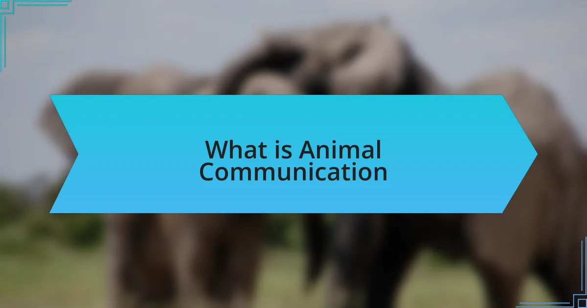 What is Animal Communication